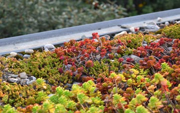 the cost of Swinscoe green roof installation