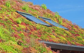 Swinscoe living roof systems