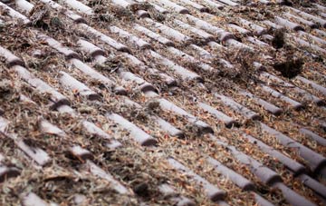 Swinscoe roof cleaning companies